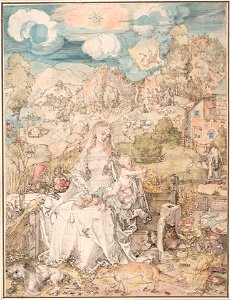 Albrecht Dürer - Mary among a Multitude of Animals, c. 1503 - Google Art Project. Free illustration for personal and commercial use.