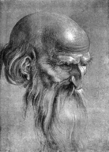Albrecht Dürer - Head of an Apostle Looking Downward - WGA07067
