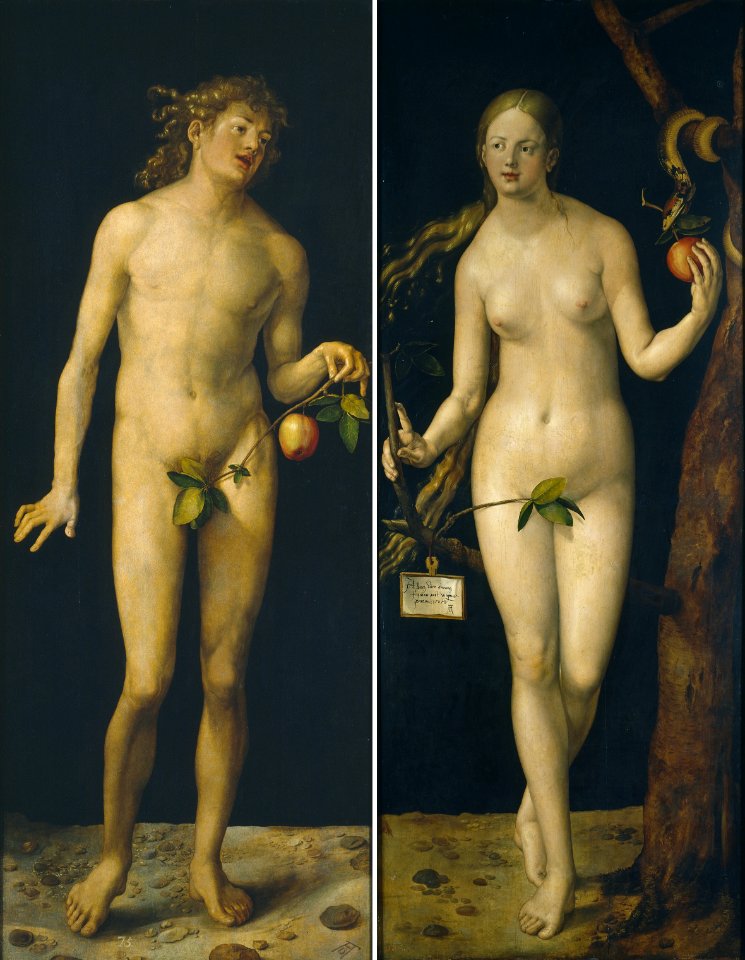 Albrecht Dürer - Adam and Eve (Prado)