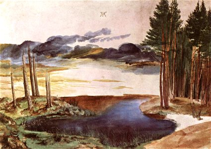 Albrecht Dürer - Pond in the Woods - WGA07358. Free illustration for personal and commercial use.