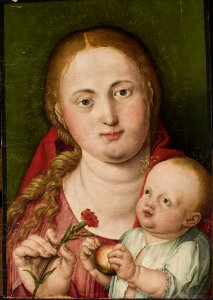 Albrecht Dürer - Madonna with Child Jesus and a carnation - M.Ob.1773 - National Museum in Warsaw. Free illustration for personal and commercial use.