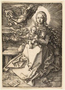 Albrecht Dürer - Madonna Crowned by an Angel - WGA7326. Free illustration for personal and commercial use.