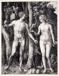 Albrecht Dürer - The Fall of Man (Adam and Eve) - Google Art Project. Free illustration for personal and commercial use.