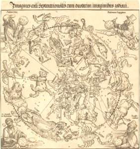 Albrecht Dürer - The Northern Celestial Hemisphere (NGA 1954.12.233)