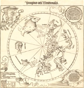 Albrecht Dürer - The Southern Celestial Hemisphere (NGA 1954.12.234)