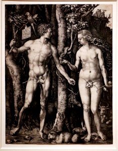 Albrecht dürer, adamo ed eva (cincinnati), 1504, 01