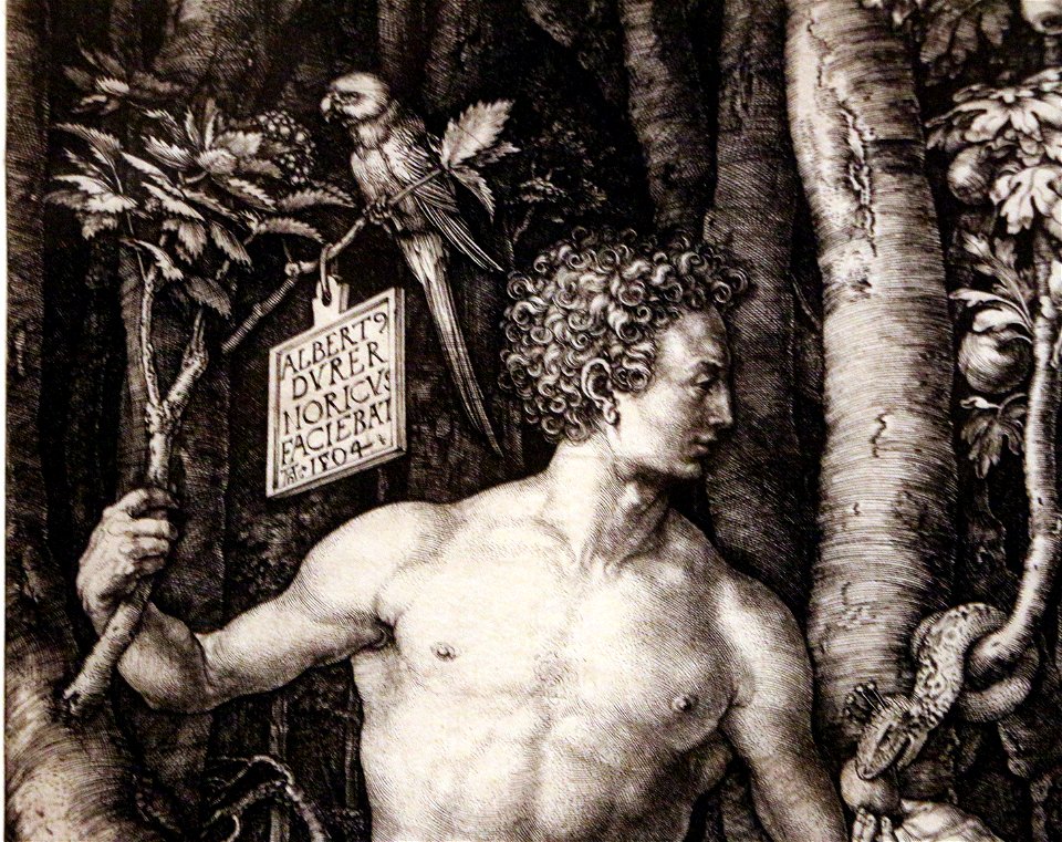 Albrecht dürer, adamo ed eva (cincinnati), 1504, 02 firma e pappagallo