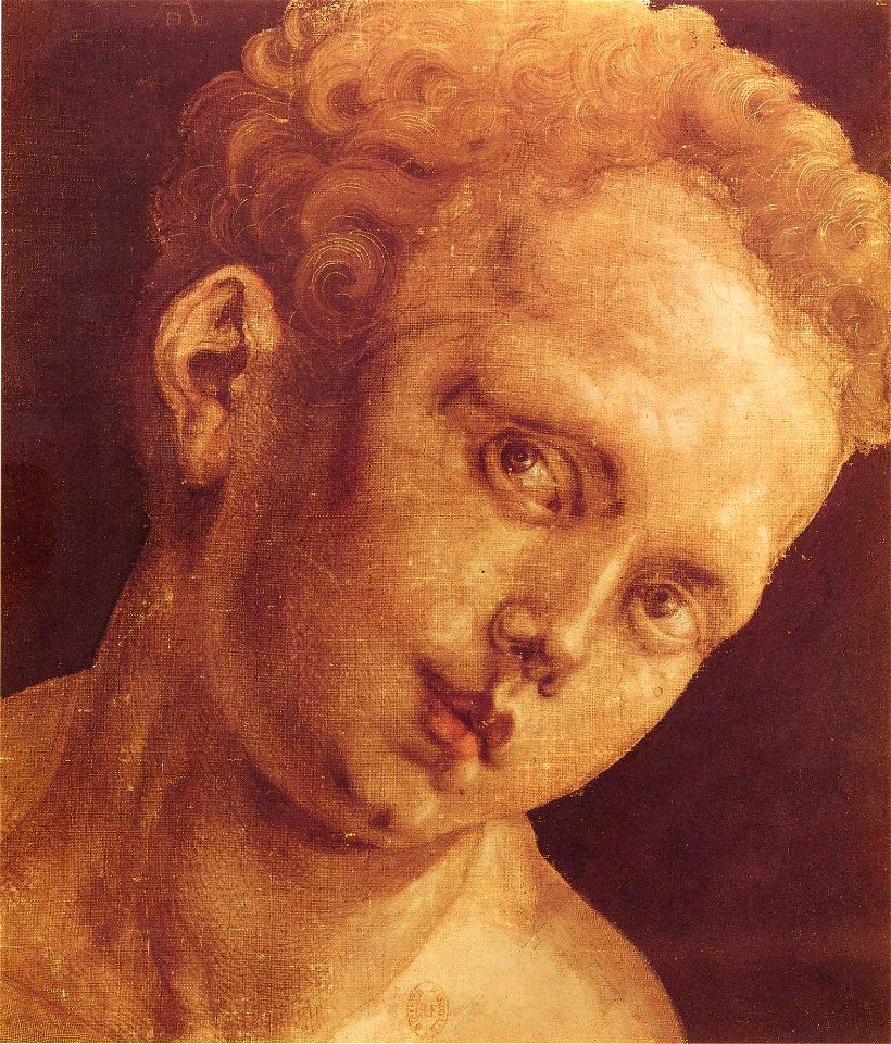 Albrecht Dürer 049