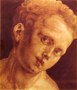 Albrecht Dürer 049