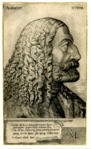 Albrecht Dürer, by Melchior Lorck, 1550