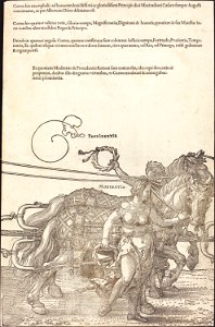 Albrecht Dürer - The Triumphal Chariot of Maximilian I (The Great Triumphal Car) (plate 3 of 8)