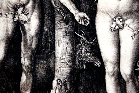 Albrecht dürer, adamo ed eva (cincinnati), 1504, 04 cervo