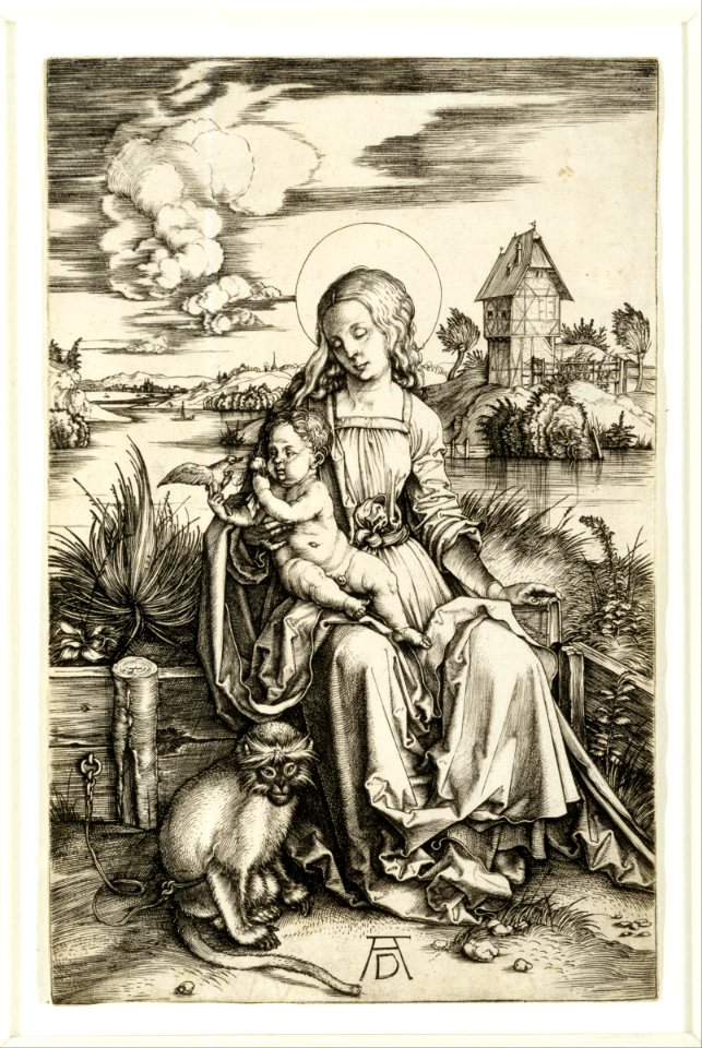 Albrecht Dürer - Virgin and Child with the Monkey - Google Art Project