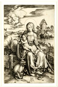 Albrecht Dürer - Virgin and Child with the Monkey - Google Art Project