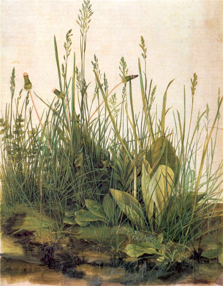 Albrecht Dürer05