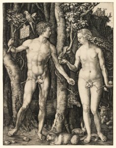 Albrecht Dürer, Adam and Eve