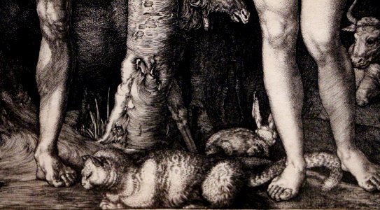 Albrecht dürer, adamo ed eva (cincinnati), 1504, 05 gatto e coniglio