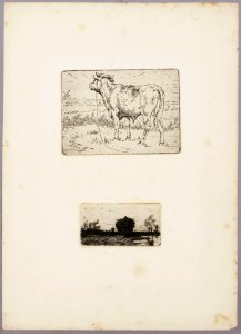 Album Amicorum (22514387715)