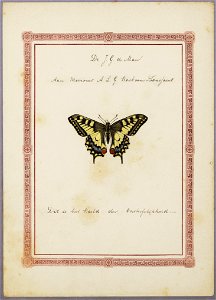 Album Amicorum (22525470741)