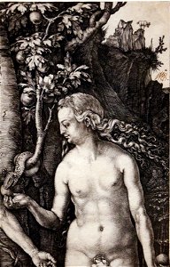 Albrecht dürer, adamo ed eva (cincinnati), 1504, 03