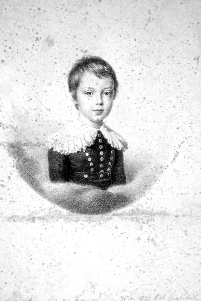 Albrecht von Österreich-Teschen als Kind Litho
