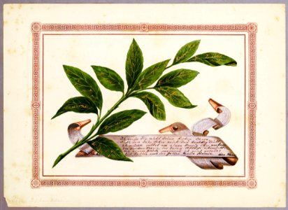 Album Amicorum (22488393896)