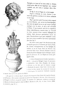 Album Caranda par Moreau 37153