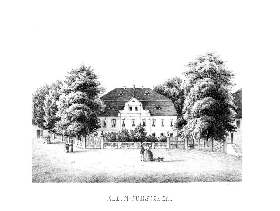 Album der Rittergüter und Schlösser im Königreiche Sachsen III b 317