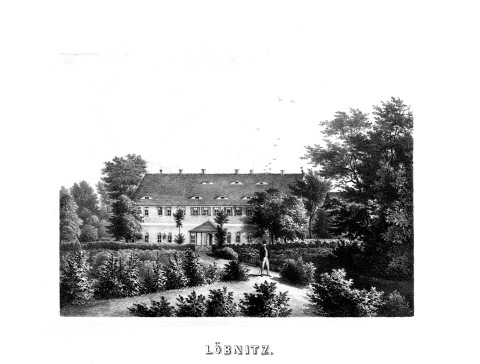 Album der Schlösser und Rittergüter im Königreiche Sachsen I 239