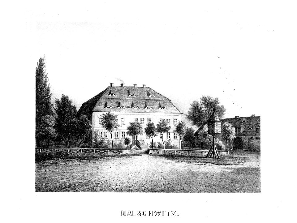 Album der Rittergüter und Schlösser im Königreiche Sachsen III b 239
