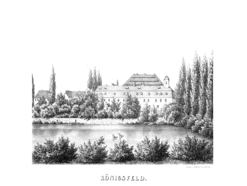 Album der Schlösser und Rittergüter im Königreiche Sachsen I 314