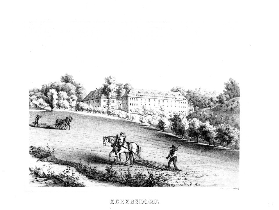 Album der Schlösser und Rittergüter im Königreiche Sachsen II 346