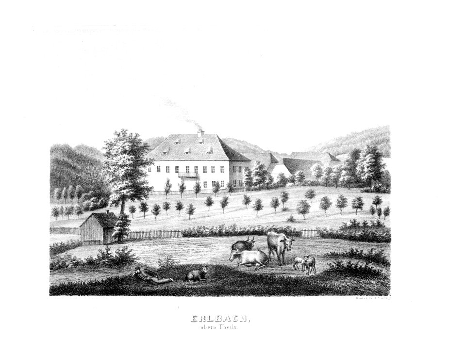 Album der Schlösser und Rittergüter im Königreiche Sachsen V 251