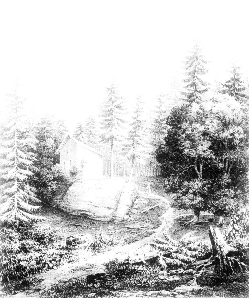 Album du Dauphiné (T1) - Chartreuse de Saint-Bruno