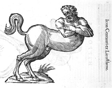 Aldrovandi-0031