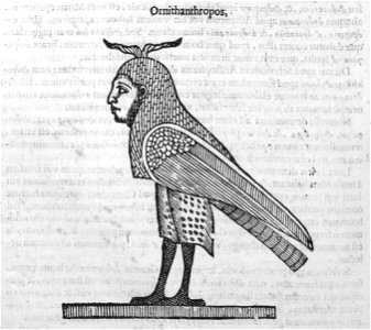 Aldrovandi-0134