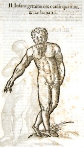 Aldrovandi-0365