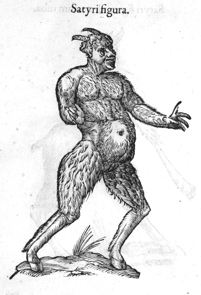 Aldrovandi-0023