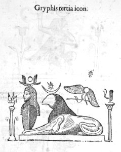 Aldrovandi-0343