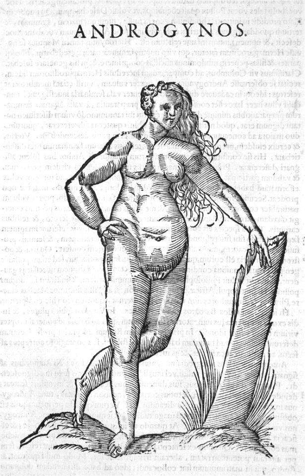 Aldrovandi-0042