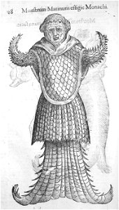 Aldrovandi-0028