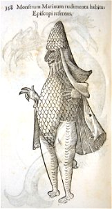 Aldrovandi-0358