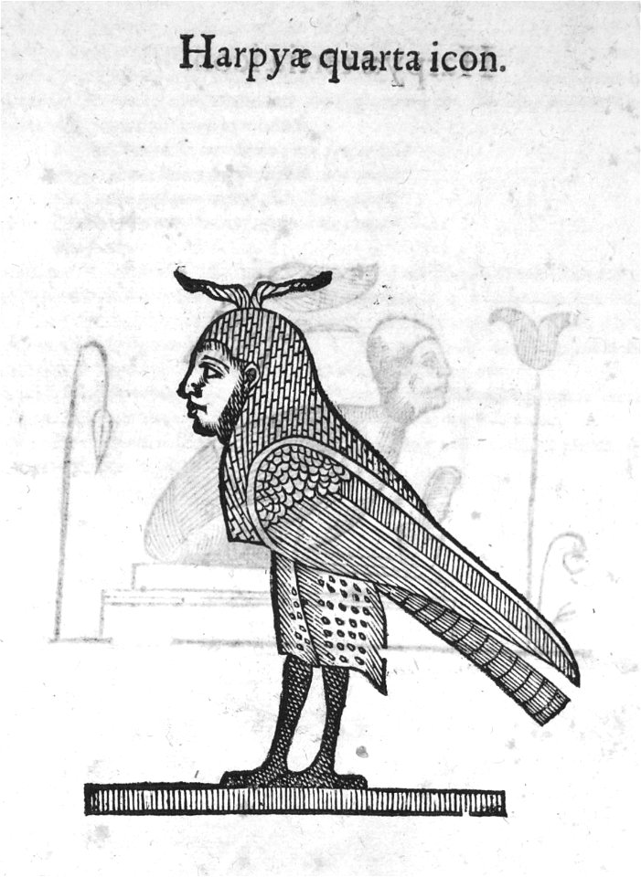 Aldrovandi-0340