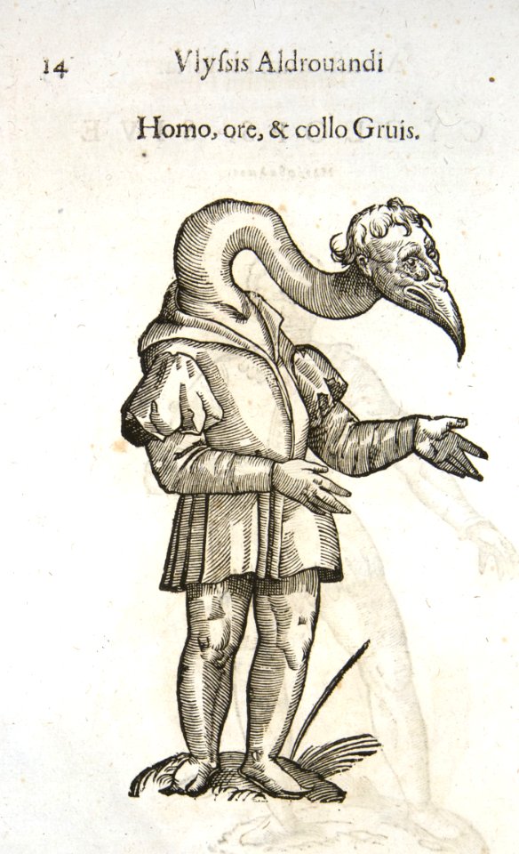 Aldrovandi-0014