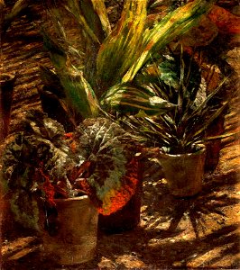 Aleksander Gierymski - Begonie - Google Art Project