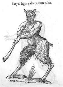 Aldrovandi-0024