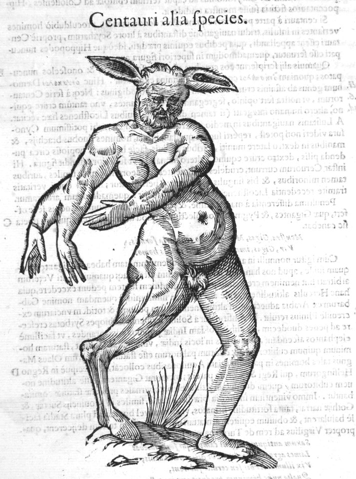 Aldrovandi-0033