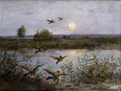 Aleksander Mroczkowski - Ducks over Marshes - MNK II-a-299 - National Museum Kraków