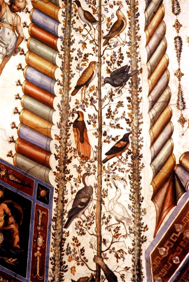 Alessandro Allori - Fresco decoration (detail) - WGA00188