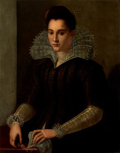 Alessandro Allori, circle of - piiri - krets (1535–1607)- Portrait of a Lady - Naisen muotokuva - Porträtt av dam (29467291895). Free illustration for personal and commercial use.